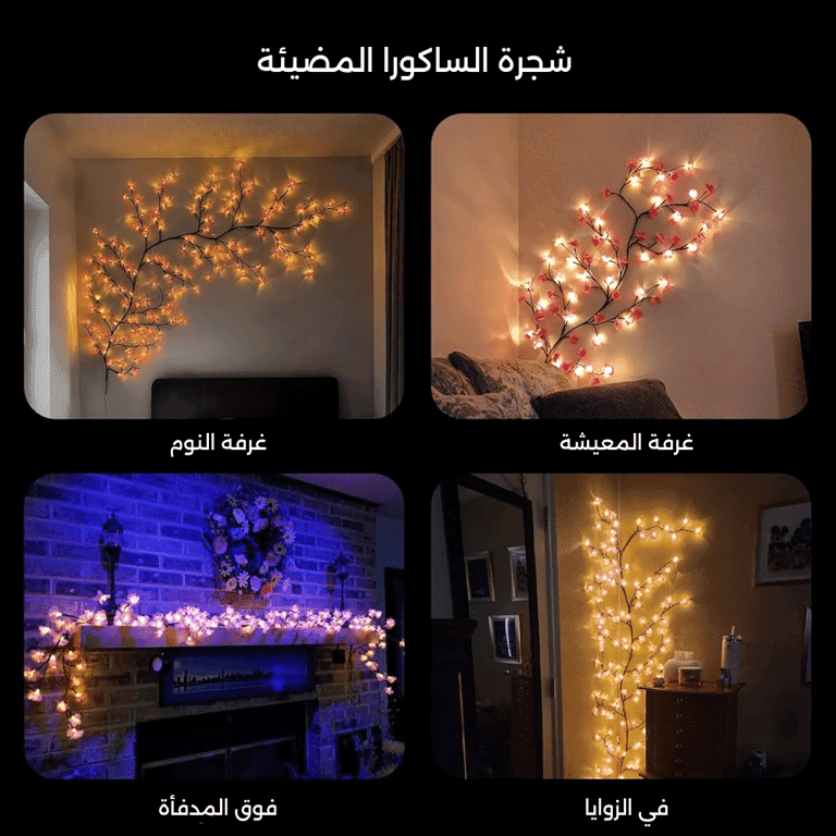 My Product
